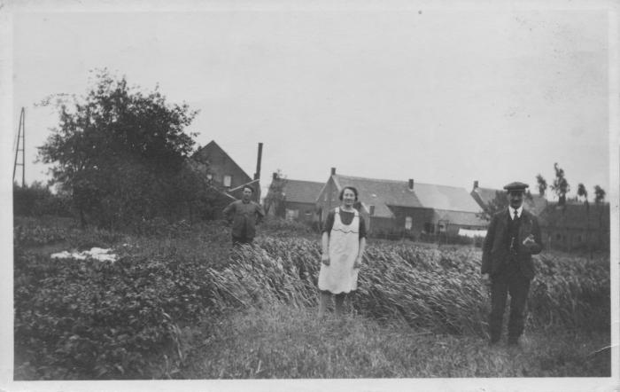Haver en groenten weduwe Van Tongerloo, Onze-Lieve-Vrouwe-Olen
