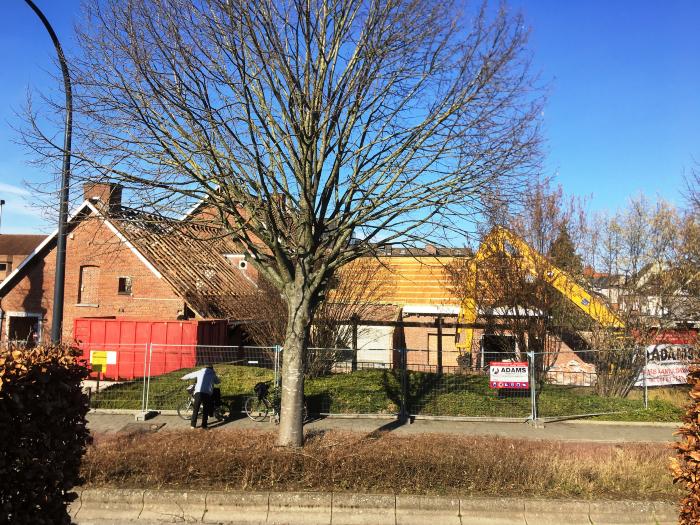 Lier, dancing Volmolen