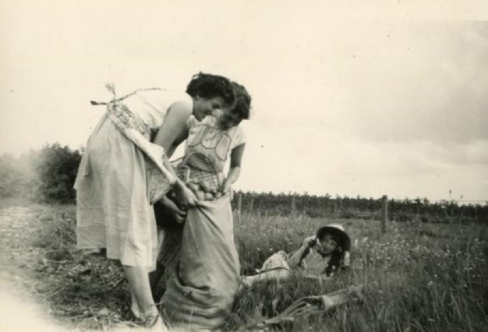 Houtvenne, aardappeloogst, 1958