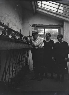 Berlaar, Diamantzagerij Verkuylen