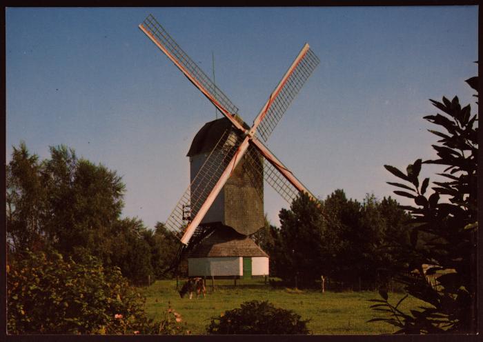 Noorderwijk, Hogewegmolen