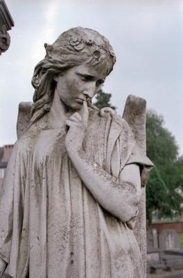 Lier, Anton Bergmann