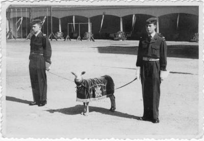 Lier, cadettenschool